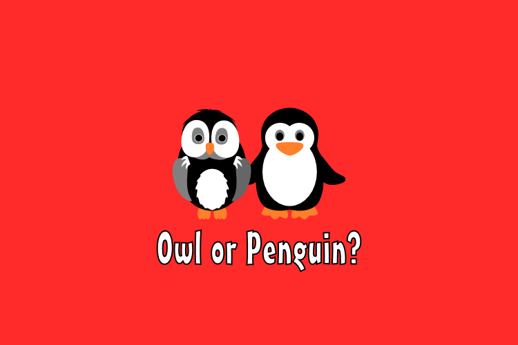 Owl or Penguin? Presskit